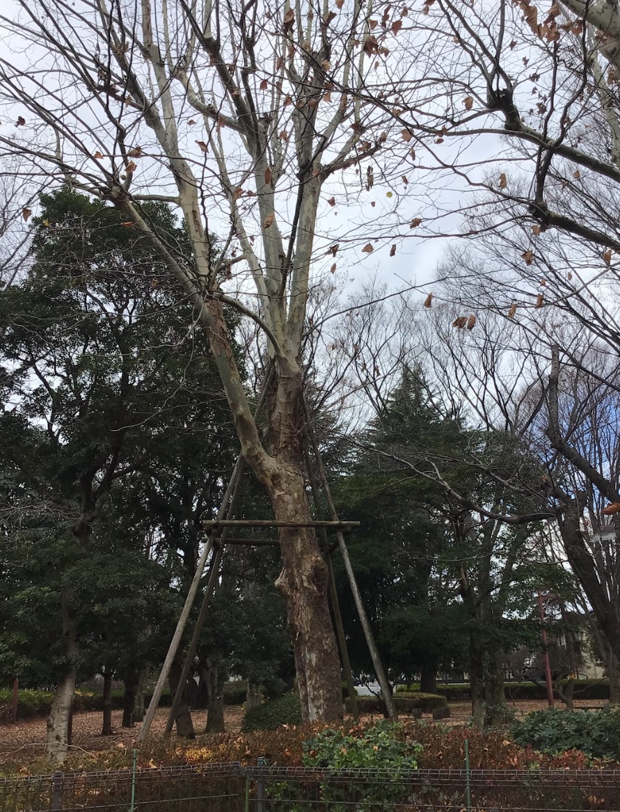 核分裂の仕組み